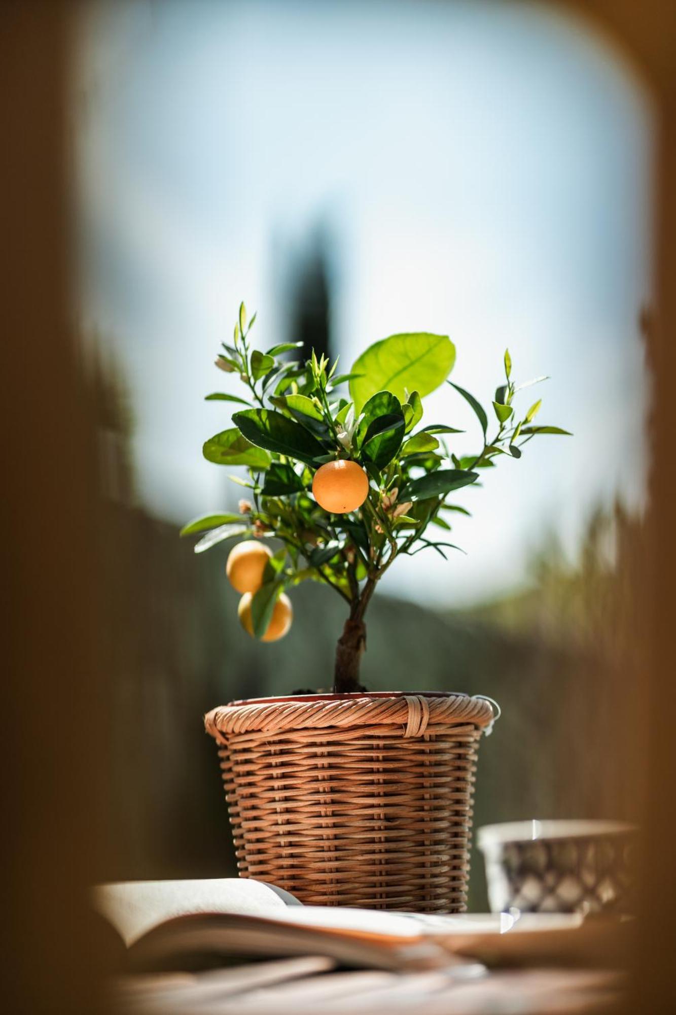Rovezzano B&B Firenze Esterno foto