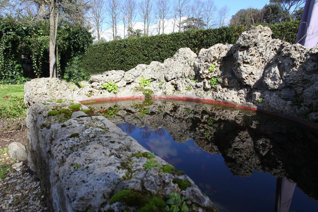 Rovezzano B&B Firenze Natura foto